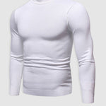 Rafael | Rollkragenpullover Herren Slim Fit Strick