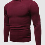 Rafael | Rollkragenpullover Herren Slim Fit Strick