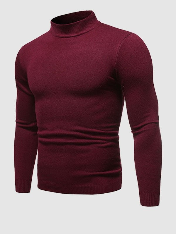 Rafael | Rollkragenpullover Herren Slim Fit Strick