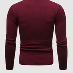 Rafael | Rollkragenpullover Herren Slim Fit Strick